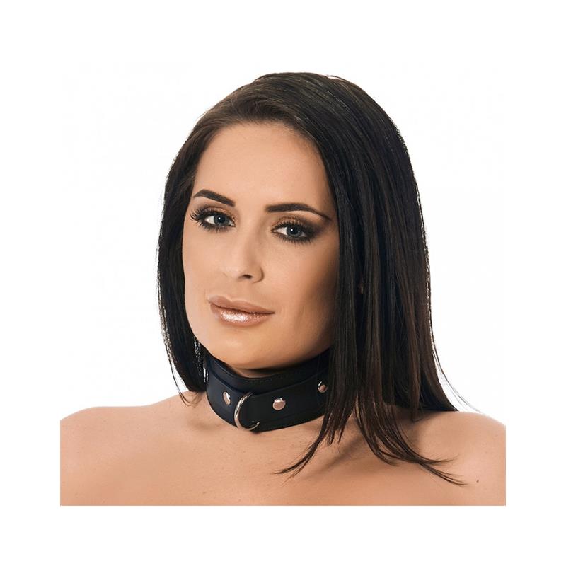 Leather Collar with Studs and D Ring