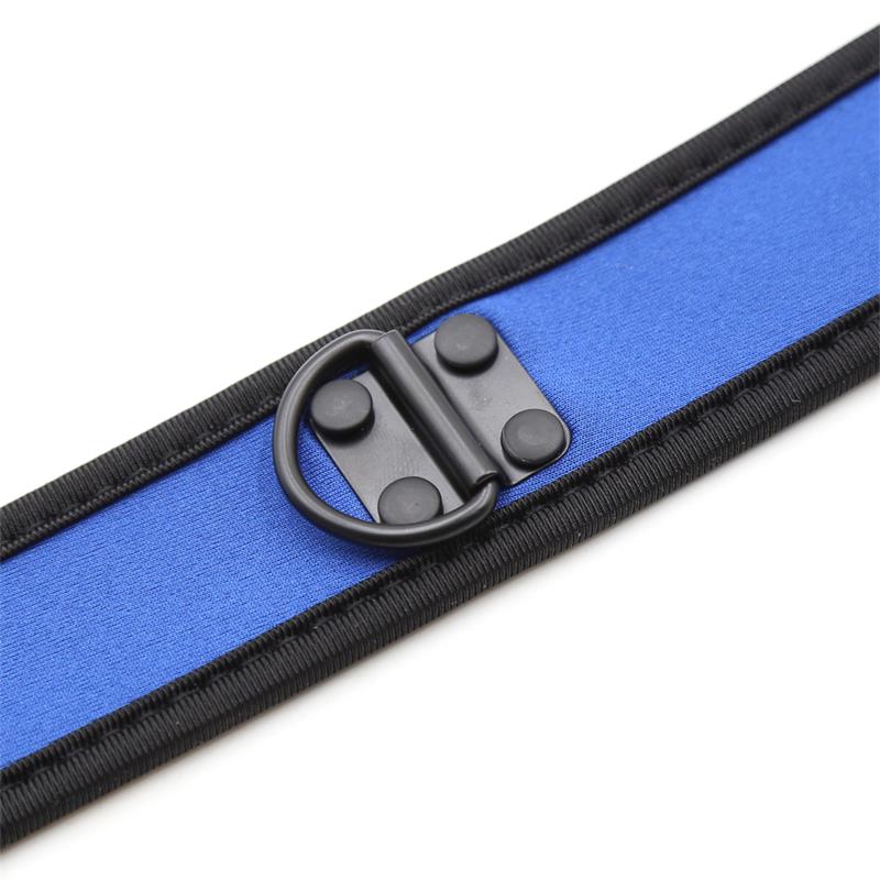 Neoprene Puppy Collar Adjustable Blue