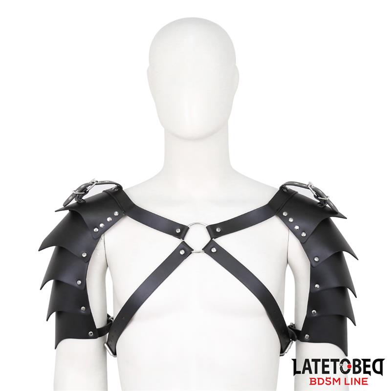 Shoulder Harness Adjustable