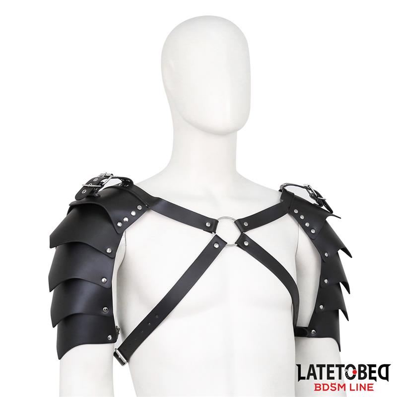 Shoulder Harness Adjustable