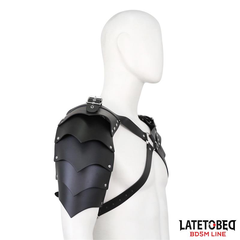 Shoulder Harness Adjustable