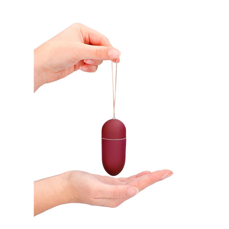 Vibrating Egg 10 Speed Red