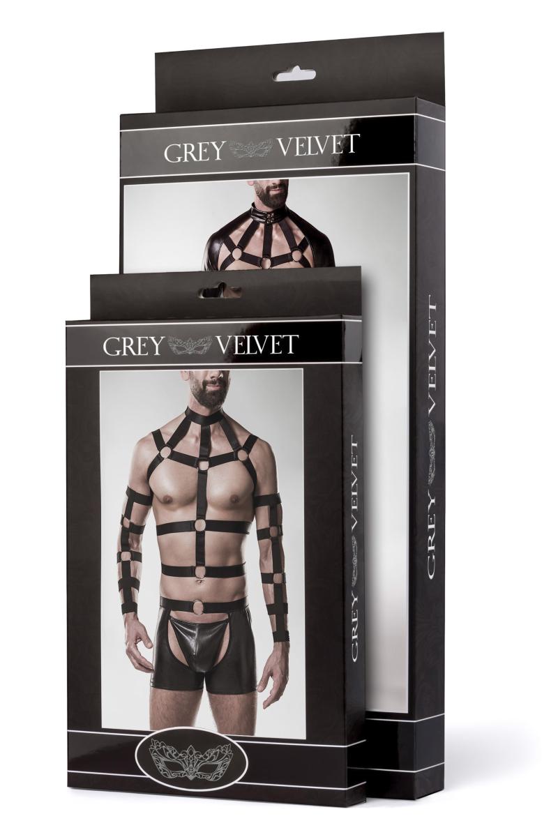 Harness-Set Hary